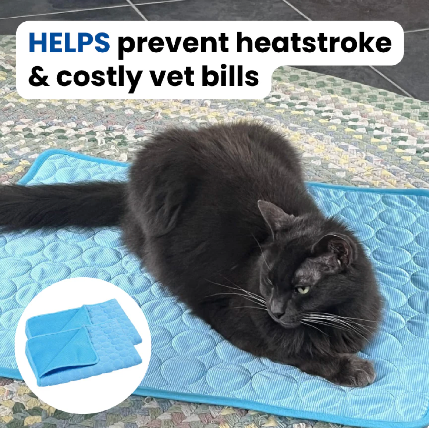 Protect Your Cat From Heatstroke with Firmelle Cooling Mat